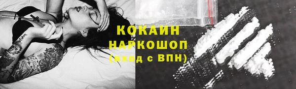 индика Пересвет